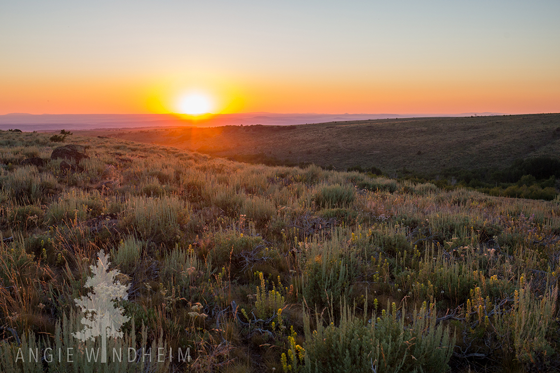 Sunset over sage field on Steens Mountain