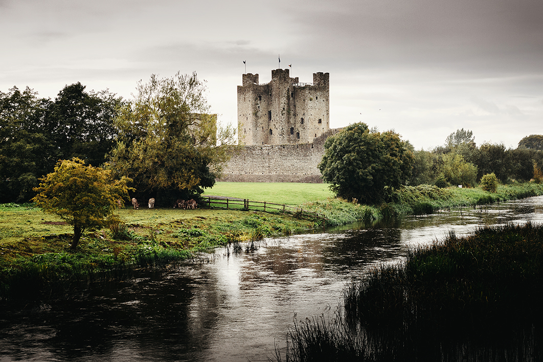 Castle just beyond river and donkeys grazing in the lush grey and green landscape of Ireland