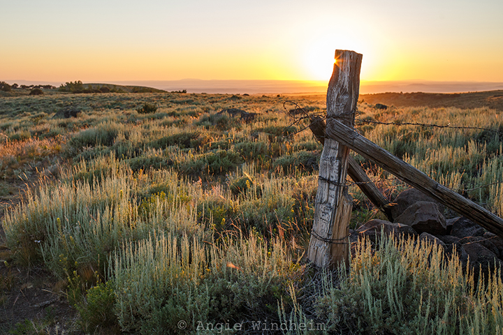 Photo of a sunset leaving a burst on fence post in the Steens Mountain backcountry