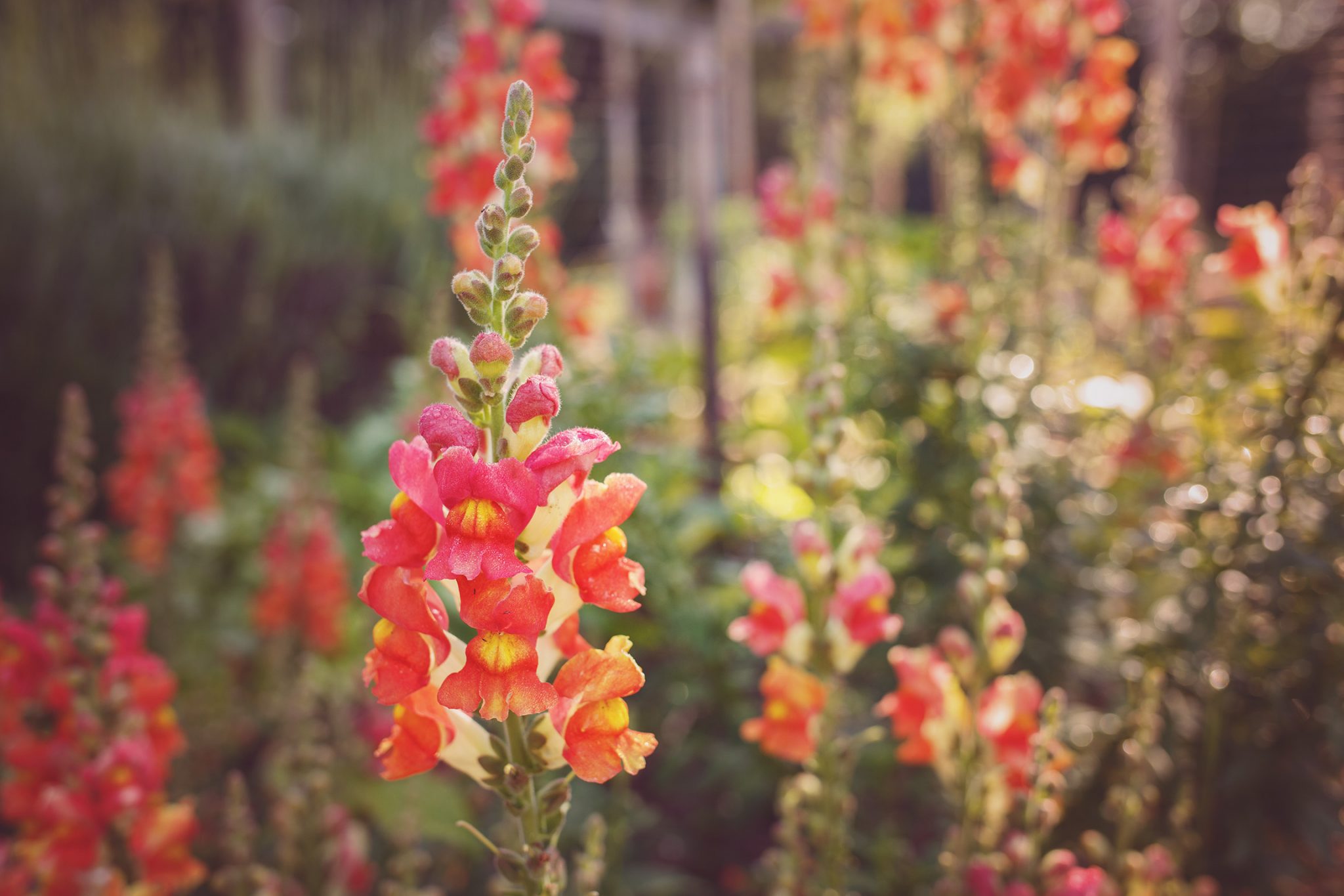 never stationary stationery Angie Windheim