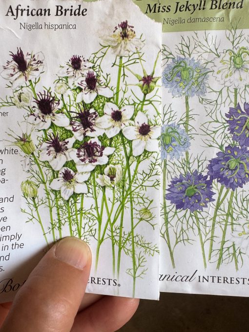 Seed packets for Love in a Mist including 'Miss Jekyll'