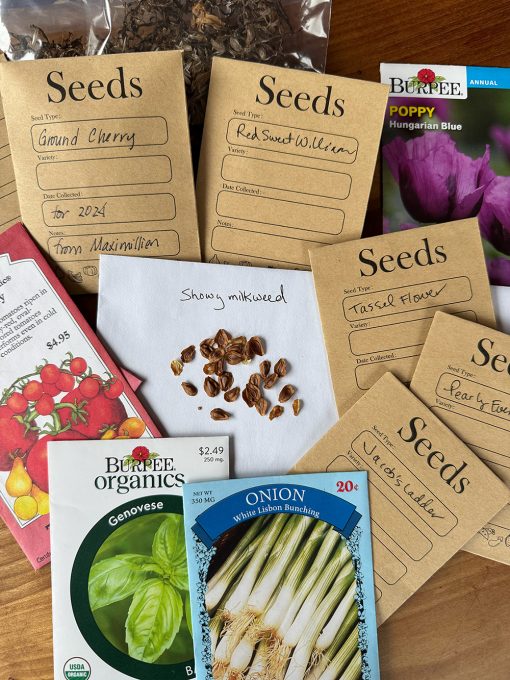 Packets of seeds for vegetables and flowers traded at a seed swap.