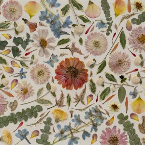 a pressed wedding flower bouquet is arranged into a mosaic collage on cream paper.