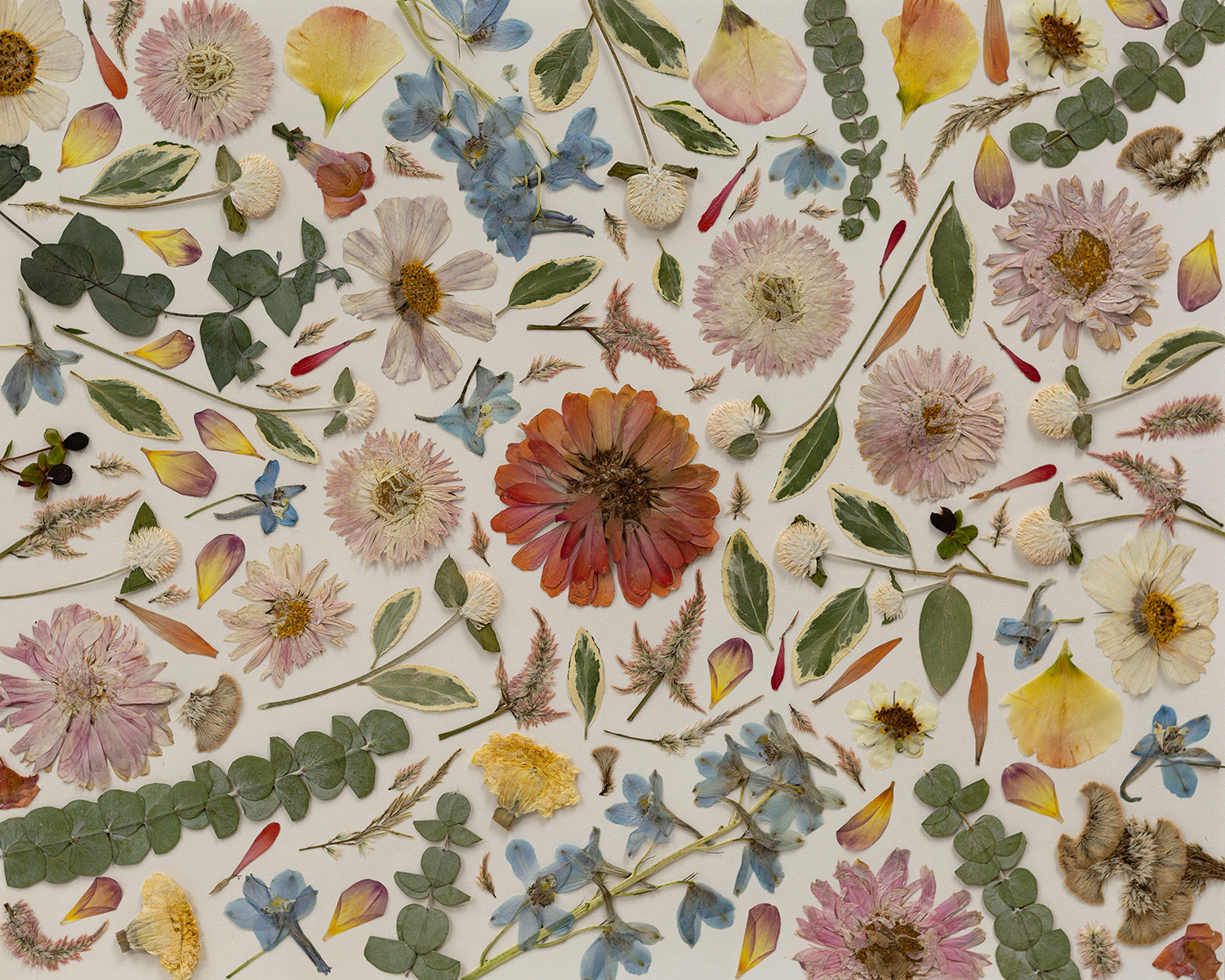 a pressed wedding flower bouquet is arranged into a mosaic collage on cream paper.